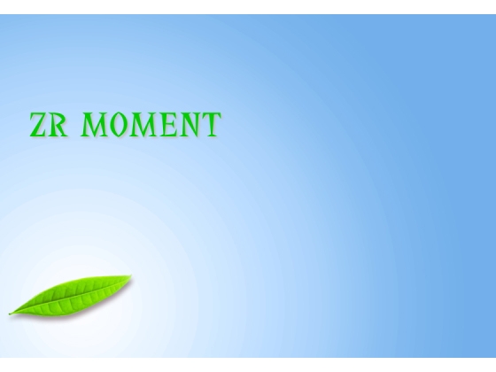 [+++ Aqua Proof +++] ZR MOMENT