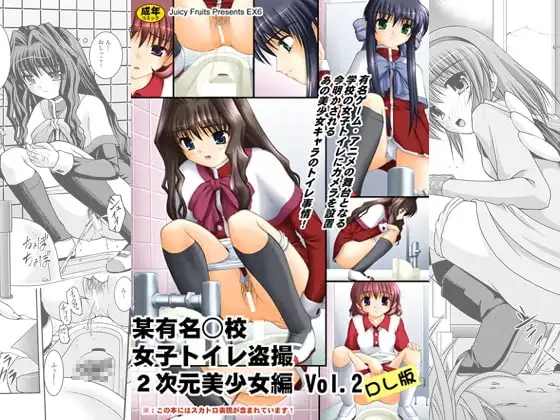 某有名○校女子トイレ盗撮 2次元美少女編Vol.2