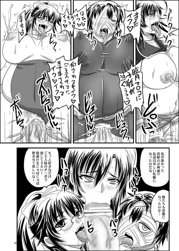 sub-image_2