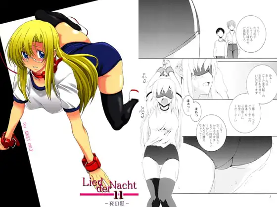 Lied der Nacht 11 ～夜の歌～