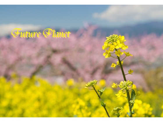 [+++ Aqua Proof +++] Future Planet