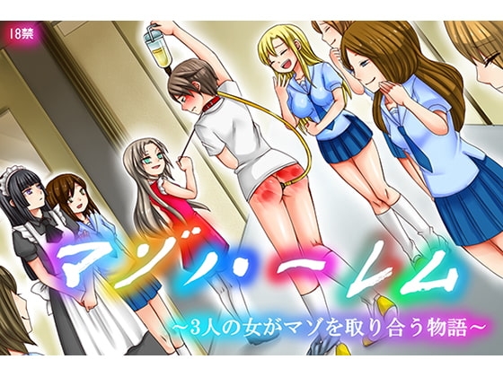 マゾハーレム~3人の女がマゾを取り合う物語~
