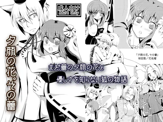 夕顔の花。その蕾