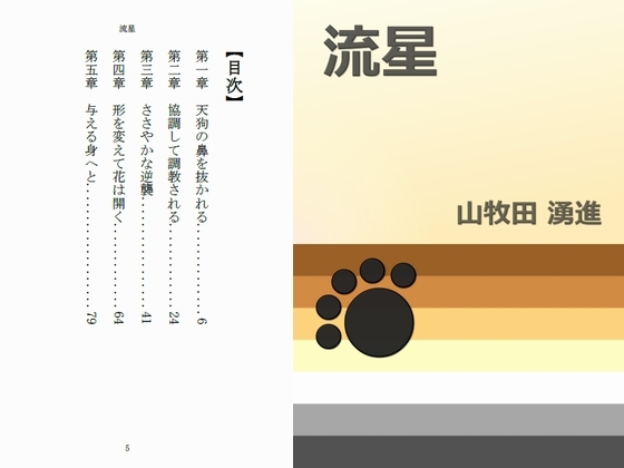 流星