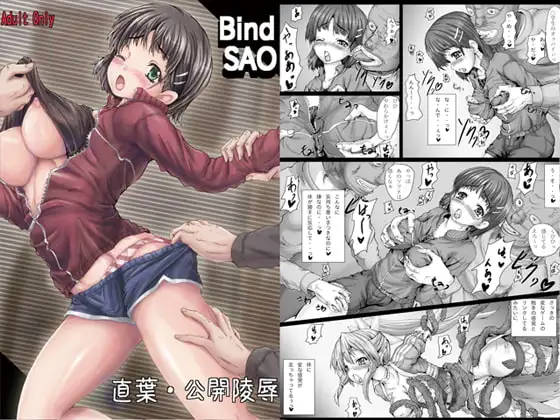 Bind SAO DL版