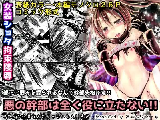 悪の幹部は全く役に立たない!!