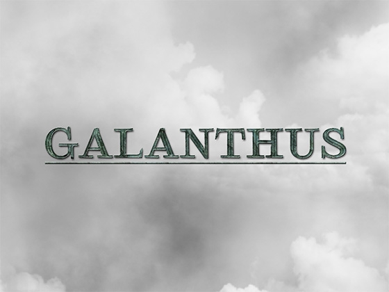 GALANTHUS