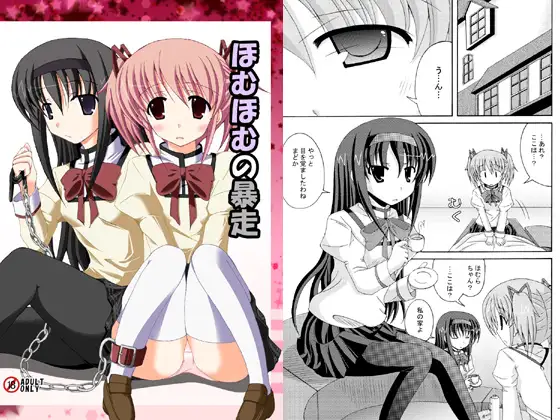 ほむほむの暴走