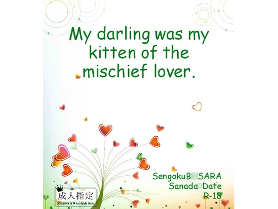 My darling was my kitten of the mischief lover.