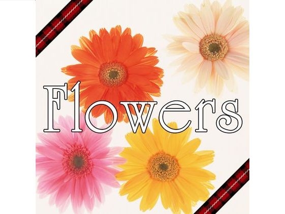 【ボーカル曲音楽素材】AZU Soundworks Vocal Material「Flowers」