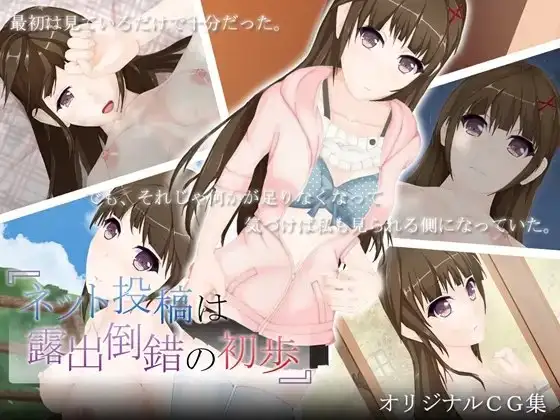 ネット投稿は露出倒錯の初歩