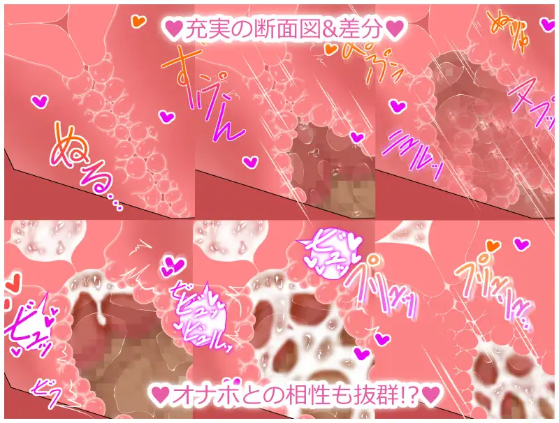 sub-image_1