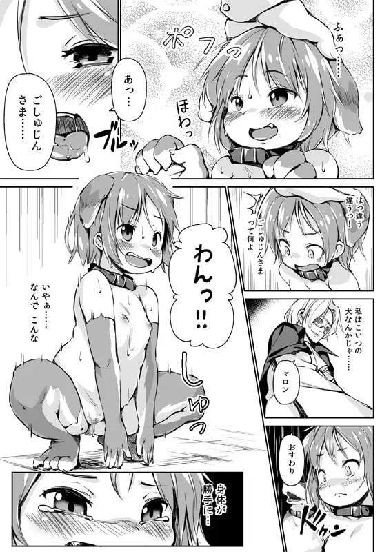 【繁体中文版】ペットライフあふたーふゅーじょん