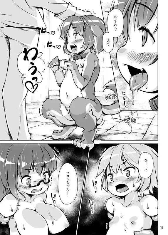 【繁体中文版】ペットライフあふたーふゅーじょん2