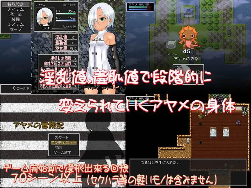 アヤメの冒険記～師匠の本を求めて
