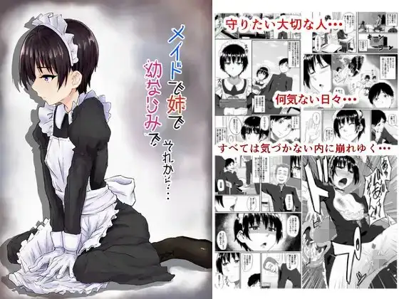 メイドで姉で幼なじみでそれから・・・