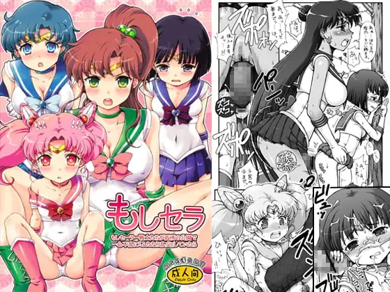 もしセラ～もしセーラー戦士たちが近所の公園で一心不乱に『ふたなり乱交』していたら～
