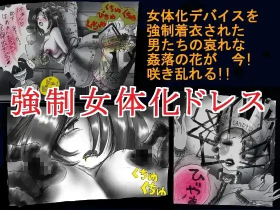 強○女体化ドレス