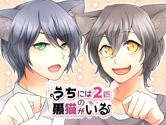 うちには2匹の黒猫がいる