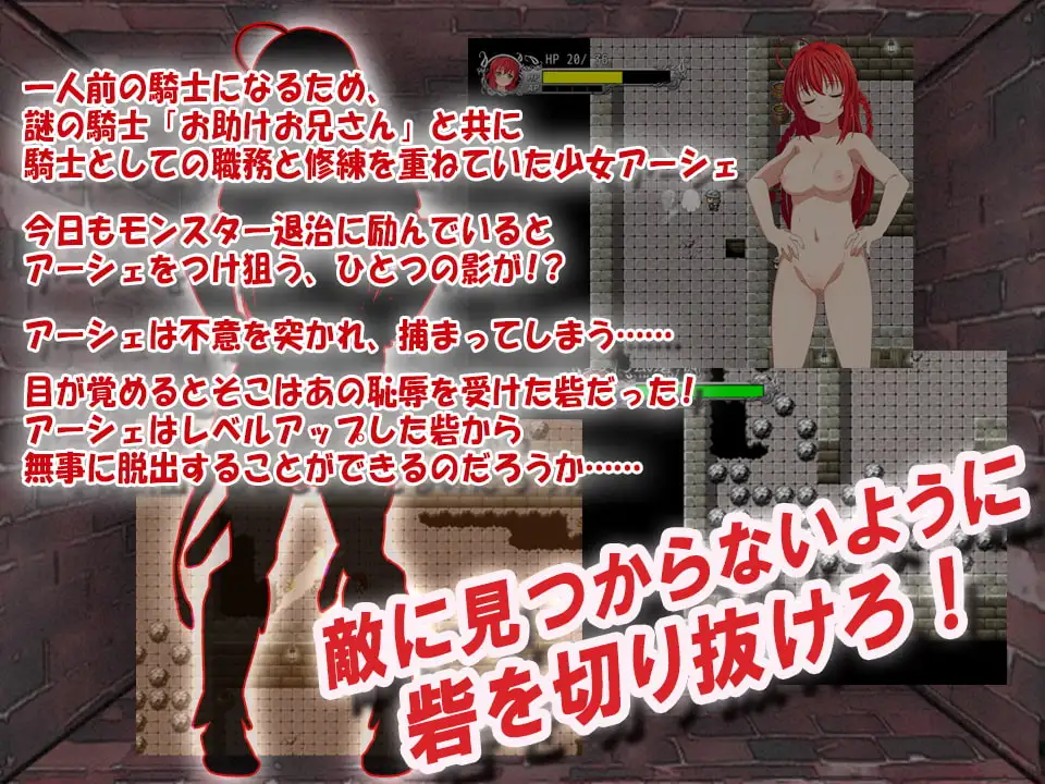 sub-image_3