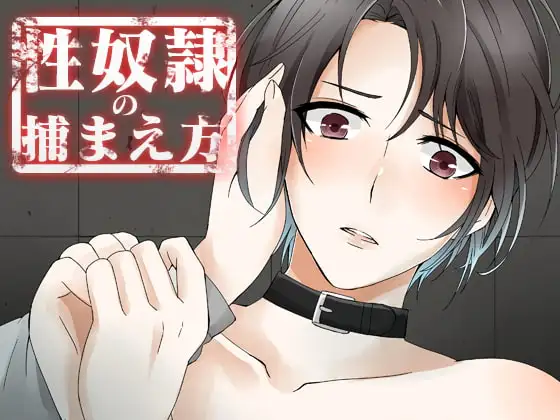 性奴○の捕まえ方