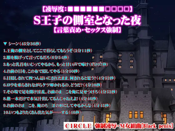 【凌○度:■■■■■■□□□□】S王子の側室となった夜【言葉責め・セックス強○】