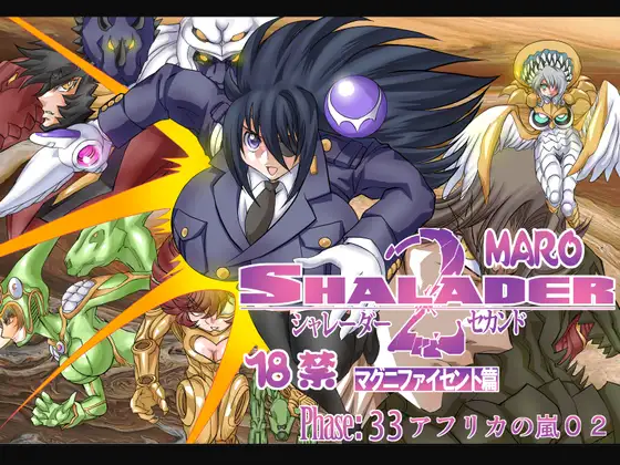シャレーダーセカンドNO.33