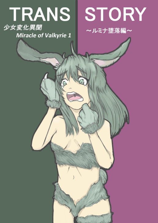 TRANS-side-STORY: Miracle of Valkyrie ~Lumina's Fall~