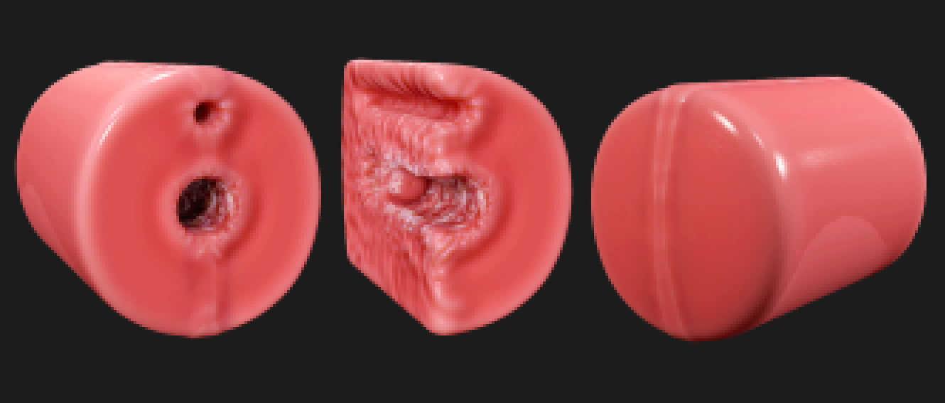 Sectional View of Vaginal for Haru