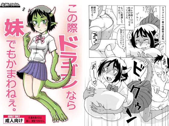 この際ドラゴンなら妹でもかまわねぇ。