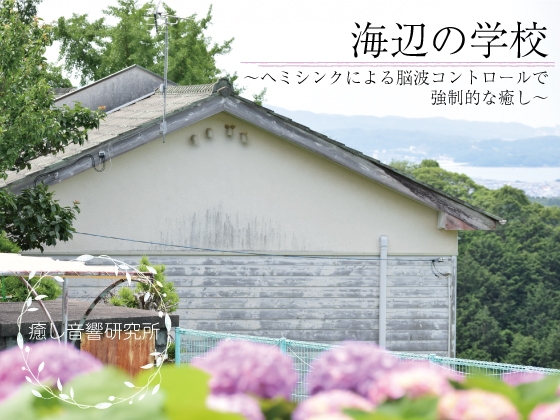海辺の学校~ヘミシンクによる脳波コントロールで強制的なリラックス