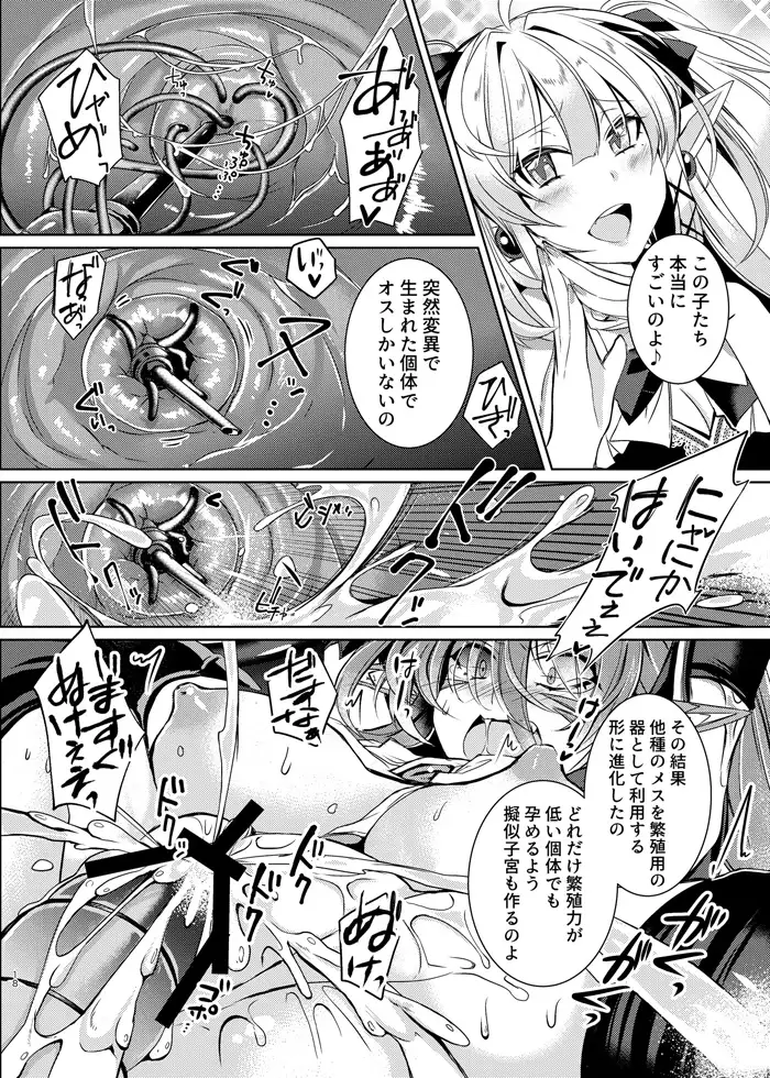 【繁体中文版】堕落龍姫ゼラニティア