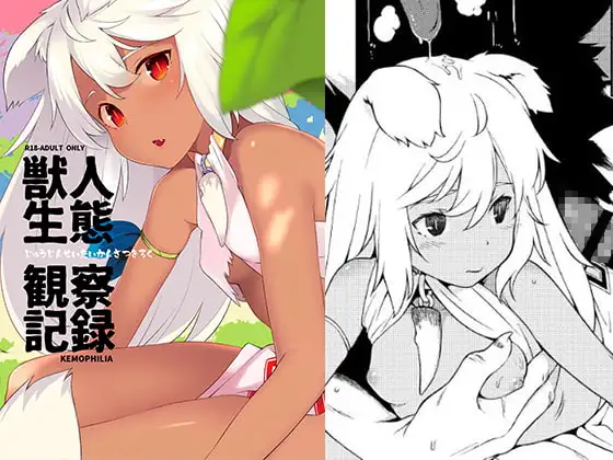 獣人生態観察記録