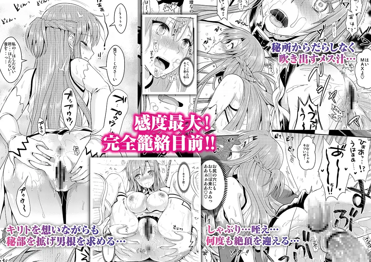 アナル奴隷II～非公式ギルドの性奴隷へと堕ちたアスナ～ サンプル画像 2