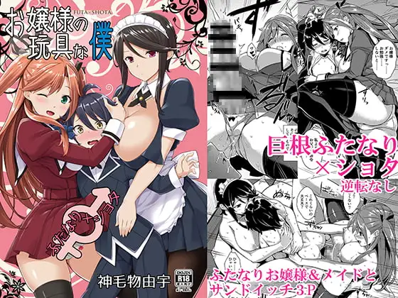 お嬢様の玩具な僕