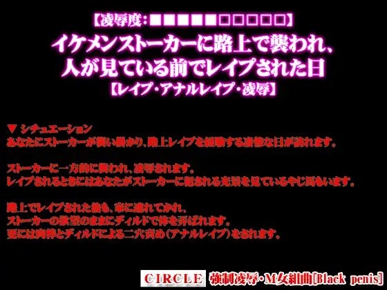 【凌辱度:■■■■■□□□□□】イケメンストーカーに路上で襲われ、人が見ている前でレイプされた日【レイプ・アナルレイプ・凌辱】