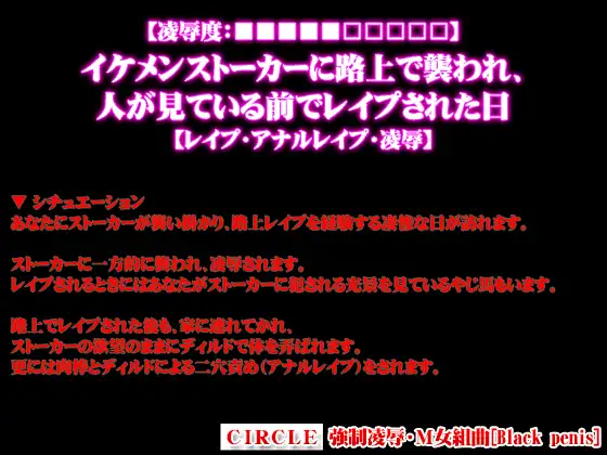 【凌○度:■■■■■□□□□□】イケメンストーカーに路上で襲われ、人が見ている前でレ○プされた日【レ○プ・アナルレ○プ・凌○】