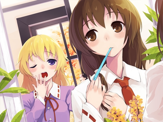 【シンセミュージック】 秘封物語 2 (秘封倶楽部アレンジ集)