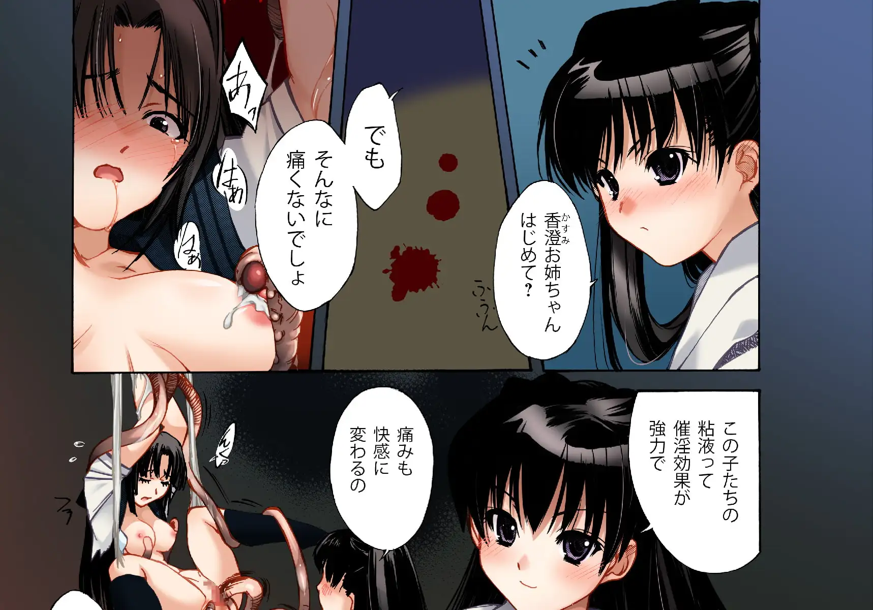 【繁体中文版】姉妹たちの儀式 ~異形なモノとの交わり~