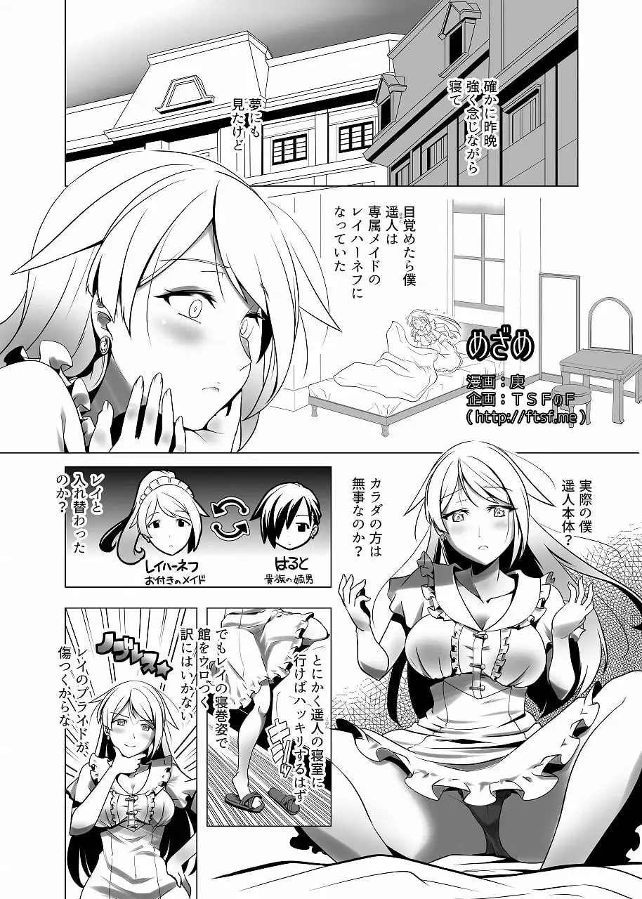 TSFのFのほん その5 サンプル画像 3