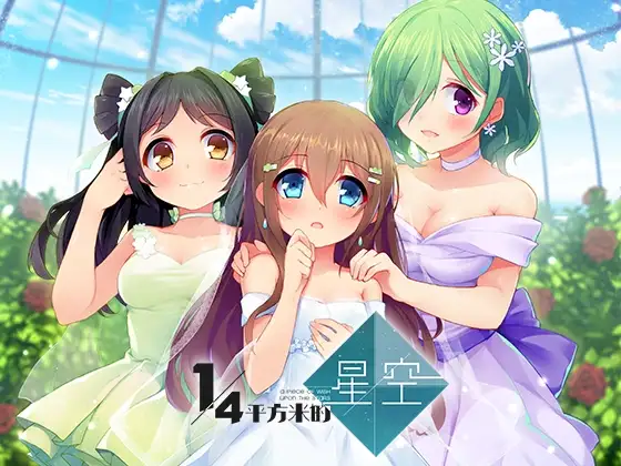 1/4 Square Meter Starlit Sky [Chinese Edition]