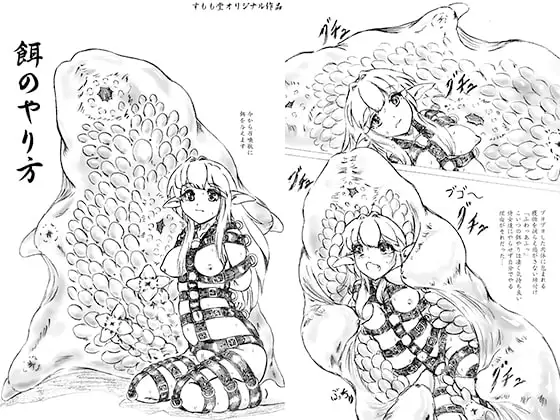 餌のやり方(おまけペーパー付)