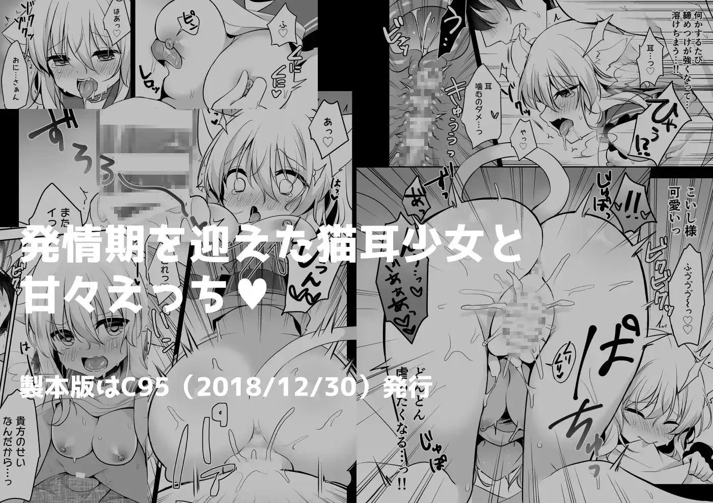 sub-image_3