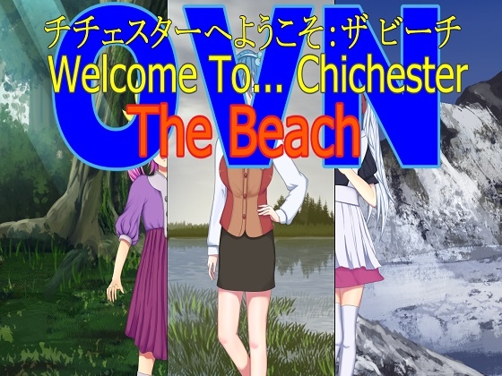 チチェスターへようこそ:ザ ビーチ
