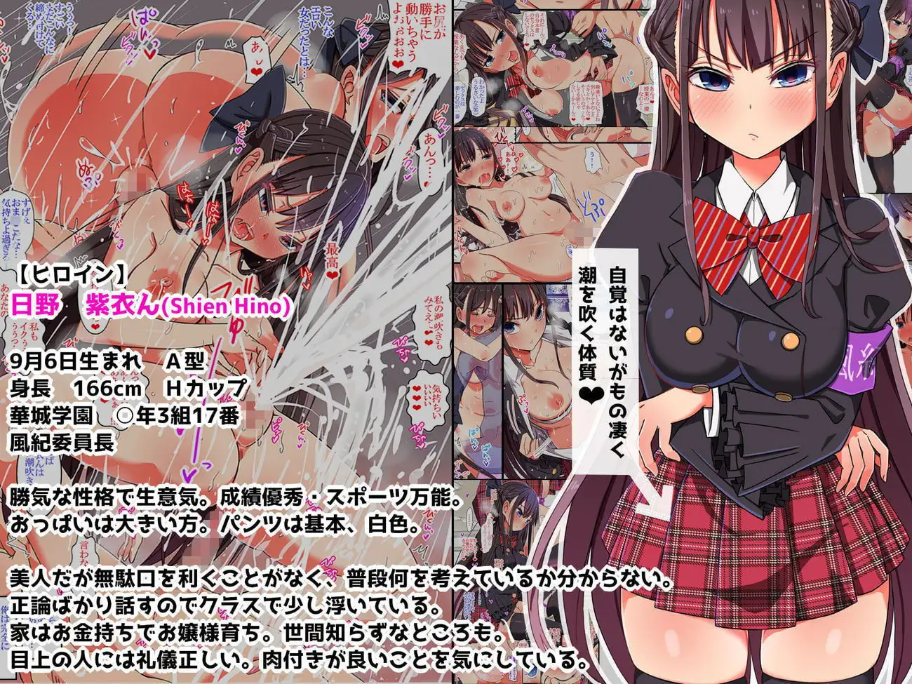 sub-image_2