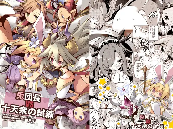兎団長vs十天衆の試練