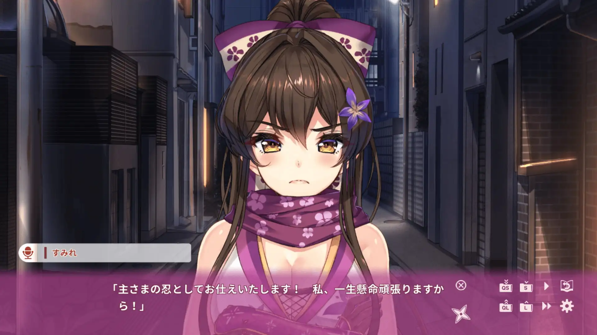 NinNinDays sample image 3