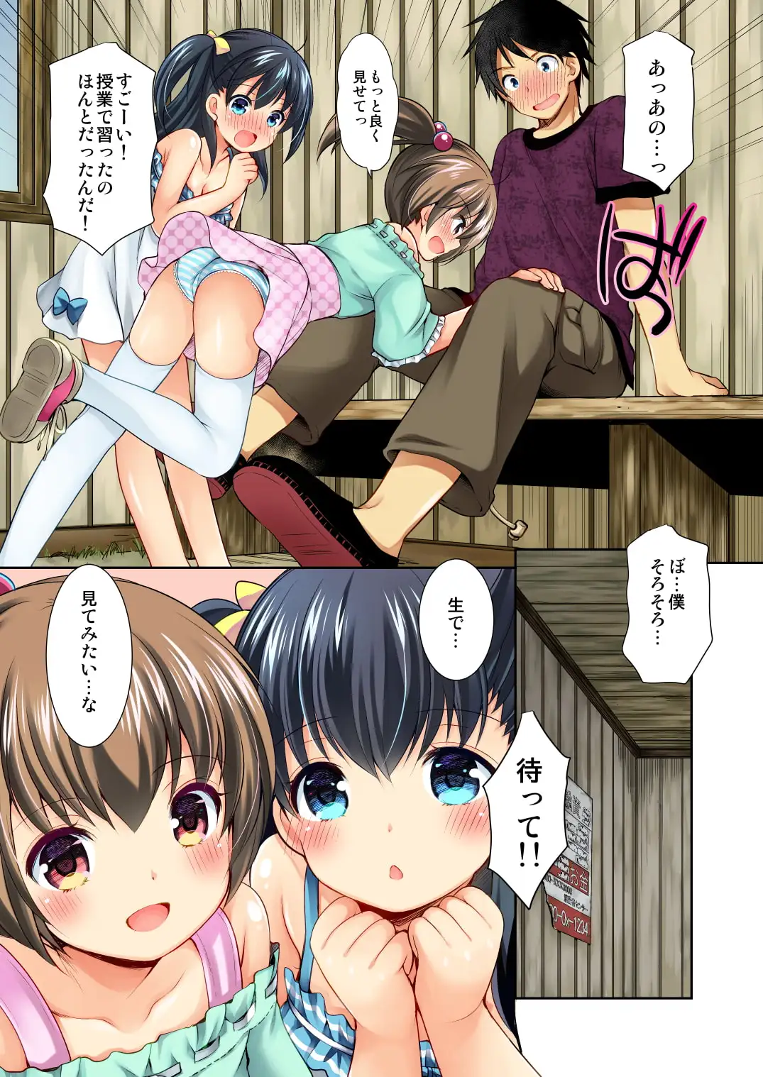 sub-image_0