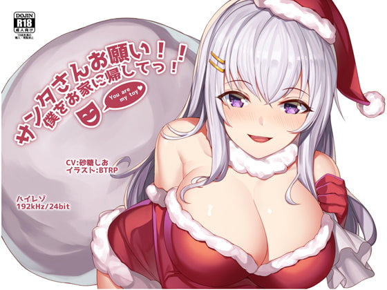 [Hi-res 192kHz/24bit] Please Santa!! Take me Home!
