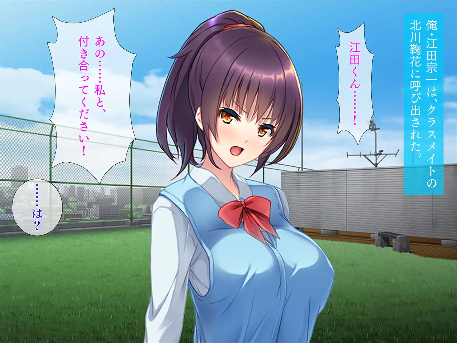 sub-image_0